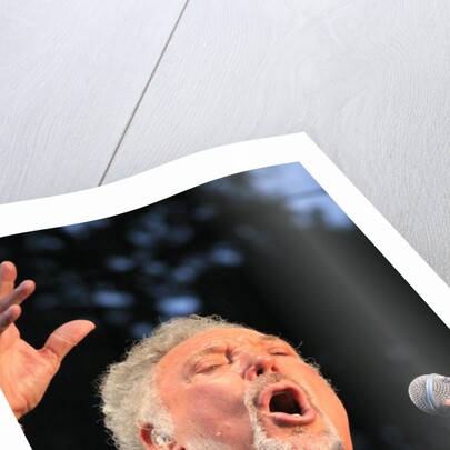 Tom Jones (2) by L. Paul Mann
